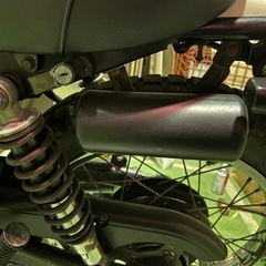 250trの画像