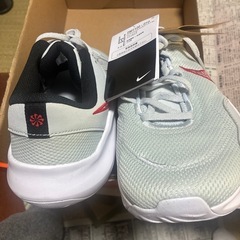 新品‼️NIKEレジェンドエッセンシャル3‼️11インチ‼️の画像