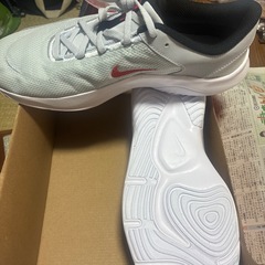 新品‼️NIKEレジェンドエッセンシャル3‼️11インチ‼️の画像