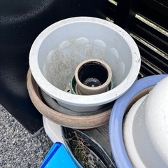 植木鉢　色々の画像