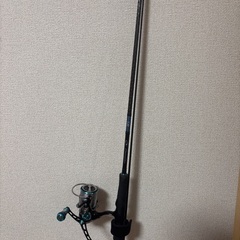 ダイワ　エメラルダス　ロッド、リールセットの画像