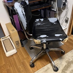 椅子(びっくりするくらいボロボロです)の画像