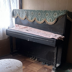 送料ご負担頂ける場合、又は、持っていって頂ける場合限定で差し上げます。の画像