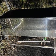 業務用ドッグバスの画像