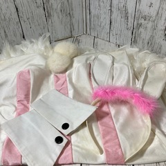 バニーガール　コスプレ衣装　2セット　ハロウィンの画像