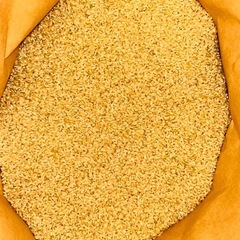 令和7年度産　新米（玄米）　元気つくし　３０キロ　福岡県産　　　の画像