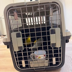 ペットキャリー（猫・小型犬用）ハードタイプ／餌皿付き／横60cmの画像