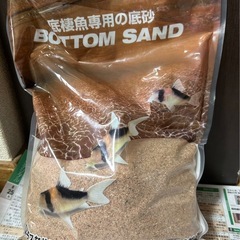 コリドラス ボトムサンドの画像