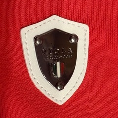 VIORA  じジャケットの画像