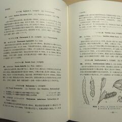 『原色日本植物図鑑（中）草本編Ⅱ・離弁花類』北村四郎・村田 源共著　保育社の画像