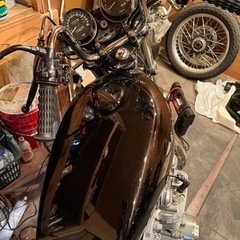 Z1の画像