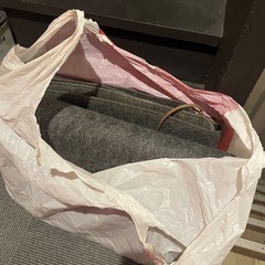 ホットカーペットの画像