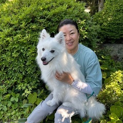 飼い主さんとわんちゃんに[気功ヒーリング]でリラックス体験しませんか？