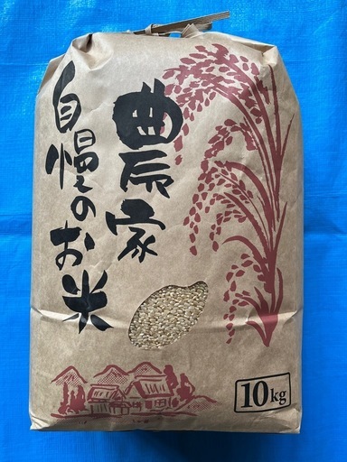 令和７年産　コシヒカリ　玄米　10kg