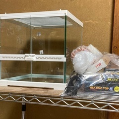 爬虫類セット中古値下げメッセージにての画像