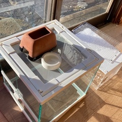 爬虫類セット中古値下げメッセージにての画像