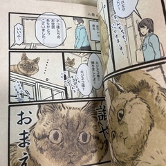 猫の本
の画像