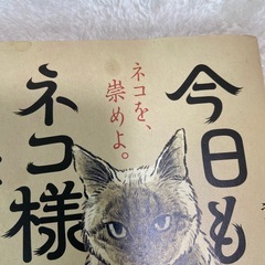 猫の本
の画像