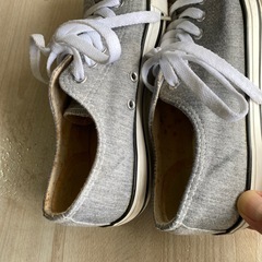 365 Days COLOSSI 23.0の画像