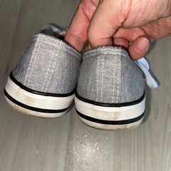 365 Days COLOSSI 23.0の画像