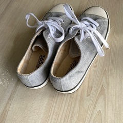 365 Days COLOSSI 23.0の画像