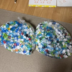 大量のペットボトルキャップ
の画像