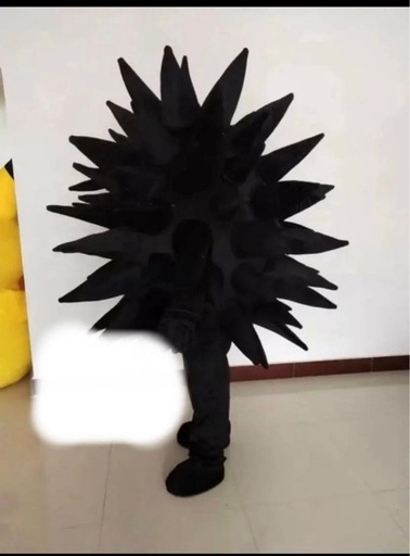 ウニ　 ハロウィン
着ぐるみ