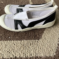 うわばきの画像