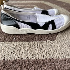 うわばきの画像