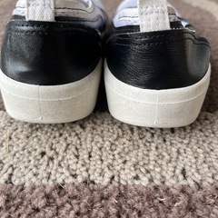 うわばきの画像