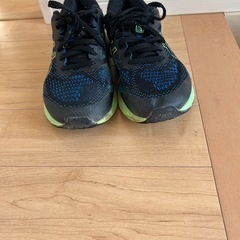 アシックス25cm
の画像