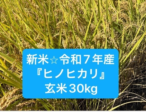 新米！令和7年度産大分ヒノヒカリ 玄米30kg