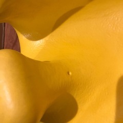 バンボの画像