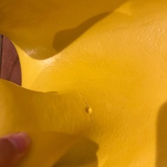 バンボの画像