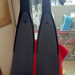 ダイビング　IST　ロングフィン　フリーダイビング　スピアフィッシングの画像