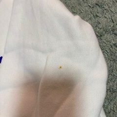 レディース　トレーナー　パーカーまとめ売り　バラ売り可能の画像