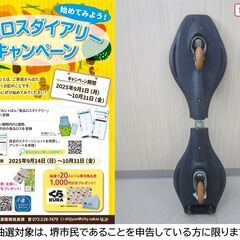 【堺市民限定】(2510-47) ブレイブボードの画像
