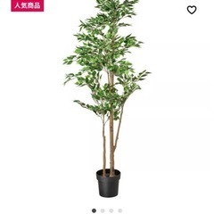 IKEA フェイクグリーンの画像