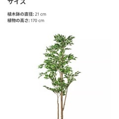 IKEA フェイクグリーンの画像