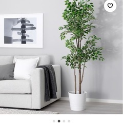 IKEA フェイクグリーンの画像