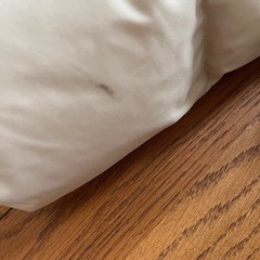 Vis ベージュ ダウンジャケット クリーニング済みの画像