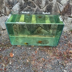 水槽の画像