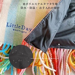 LittleDayz Boutique レジャーマットの画像