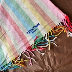 LittleDayz Boutique レジャーマットの画像