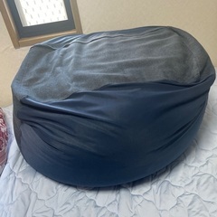 駄目になるクッション大の画像