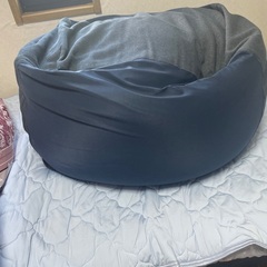 駄目になるクッション大の画像