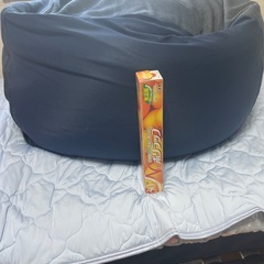 駄目になるクッション大の画像