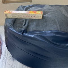 駄目になるクッション大の画像