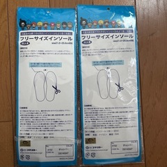 ワンピース　チョッパー　インソールの画像