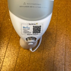 Raelunyi スチームアイロン 衣類スチーマーの画像